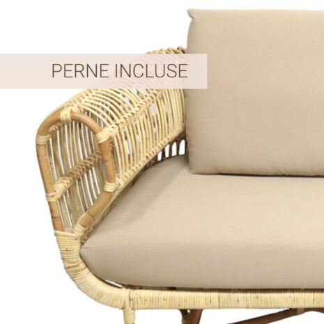 canapea-ratan (3) canapea ratan