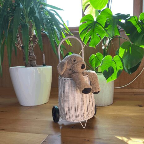 carucior-picnic-copii carucior-picnic-copii