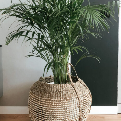 cos-depozitare-fibre-naturale cos-depozitare-fibre-naturale