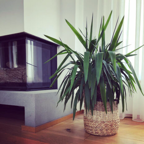 cos-depozitare-ghiveci cos-depozitare-ghiveci