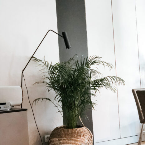 cos-depozitare-impletit cos-depozitare-impletit