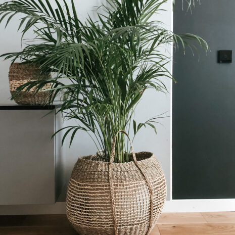 cos-depozitare-vietnam cos-depozitare-vietnam