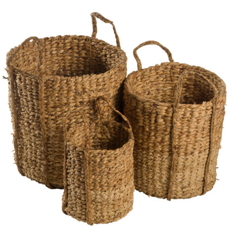 cos-din-zambila-de-apa Cos din zambila de apa