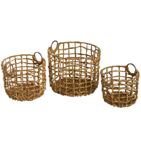 cos-din-zambila-de-apa cos-din-zambila-de-apa