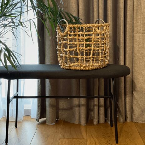 cos-frunze-palmier cos-frunze-palmier