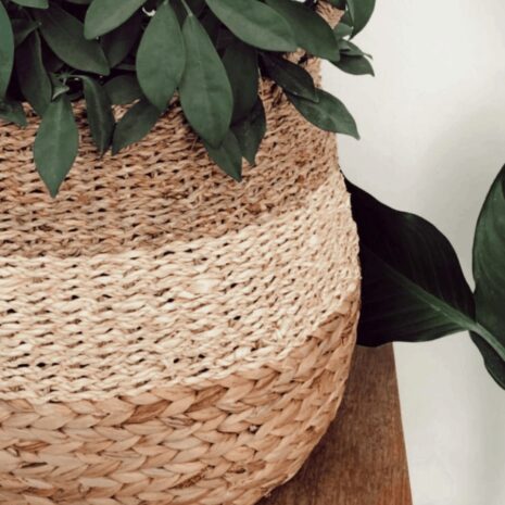 cos-ghiveci cos-ghiveci