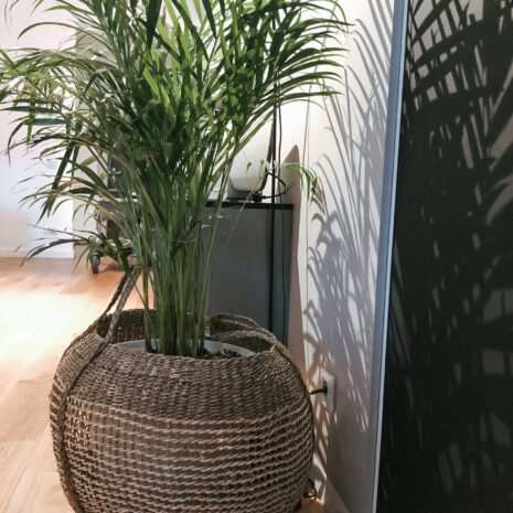 cos-impletit-iarba-de-mare cos-impletit-iarba-de-mare