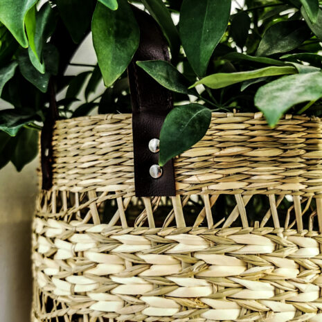 cos-lucrat-manual cos-lucrat-manual