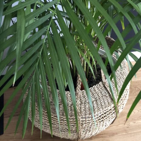 detaliu-cos-depozitare detaliu-cos-depozitare