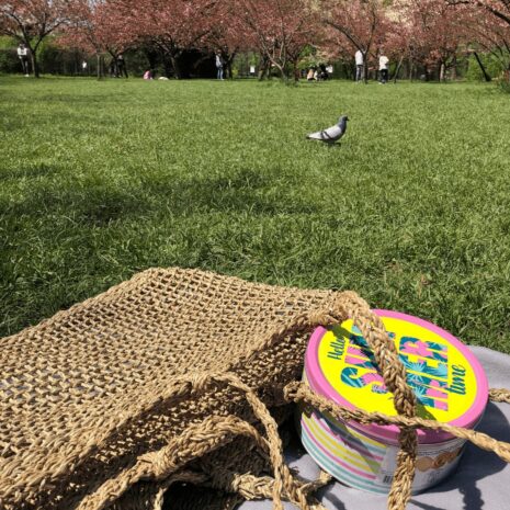 geanta-plaja-iarba-mare geanta-plaja-iarba-mare