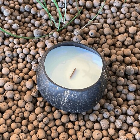 lumanare-cocos lumanare-cocos