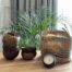 lumanare-eco-nuca-cocos