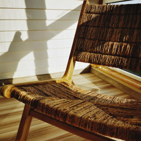 scaun-frunze-banana (1) scaun-frunze-banana (1)