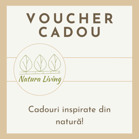 vizual voucher cadou (1080 × 1080 px)